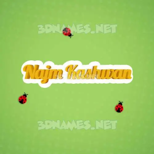 najm kashwan in Ladybugs style - 3D name wallpaper najm kashwan in Ladybugs style - 3D name wallpaper