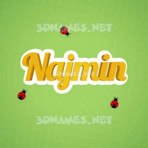 najmin in Ladybugs style - 3D name wallpaper