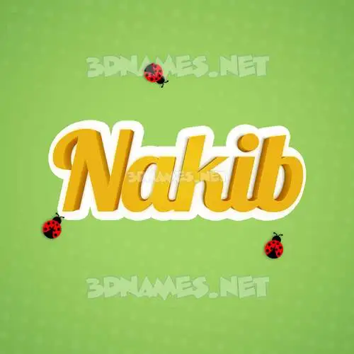 nakib in Ladybugs style - 3D name wallpaper