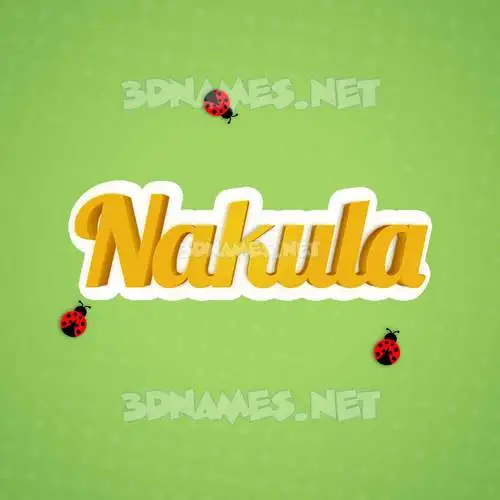 nakula in Ladybugs style - 3D name wallpaper