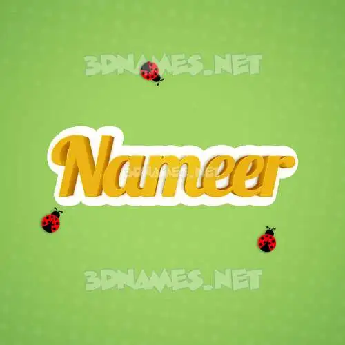 nameer in Ladybugs style - 3D name wallpaper nameer in Ladybugs style - 3D name wallpaper