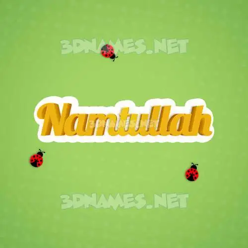 namtullah in Ladybugs style - 3D name wallpaper namtullah in Ladybugs style - 3D name wallpaper