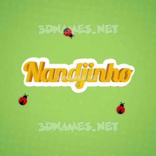 nandjinho in Ladybugs style - 3D name wallpaper