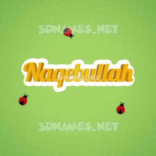 naqebullah in Ladybugs style - 3D name wallpaper