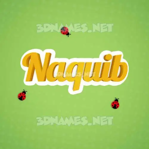 naquib in Ladybugs style - 3D name wallpaper
