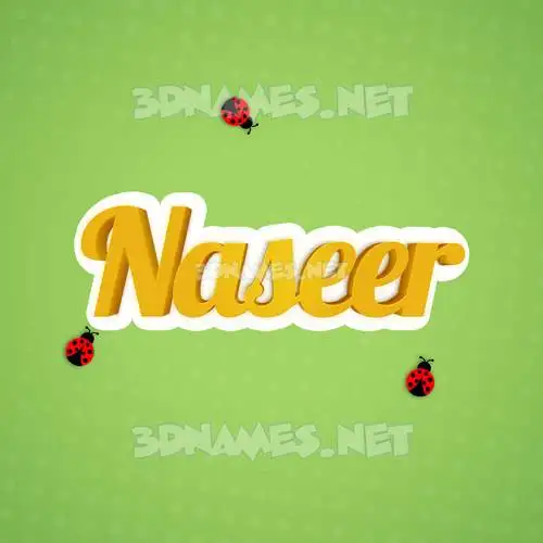 naseer in Ladybugs style - 3D name wallpaper