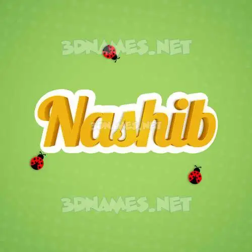 nashib in Ladybugs style - 3D name wallpaper