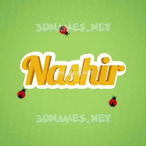 nashir in Ladybugs style - 3D name wallpaper