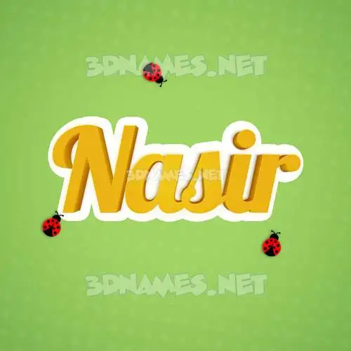 nasir in Ladybugs style - 3D name wallpaper