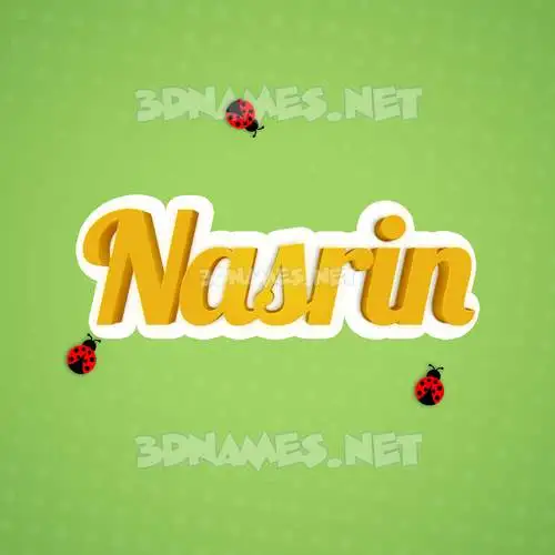 nasrin in Ladybugs style - 3D name wallpaper nasrin in Ladybugs style - 3D name wallpaper