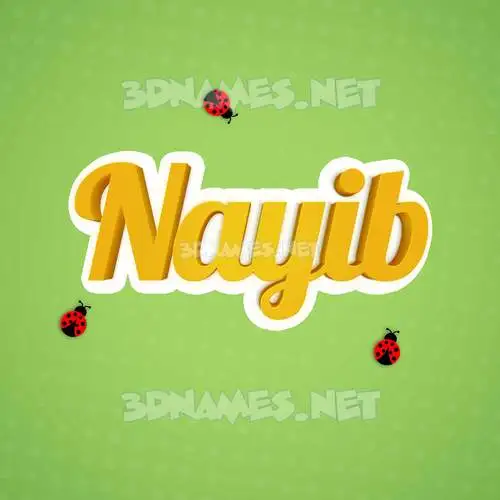 nayib in Ladybugs style - 3D name wallpaper