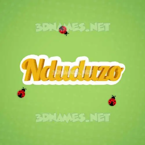 nduduzo in Ladybugs style - 3D name wallpaper