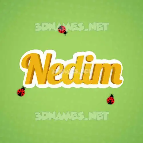 nedim in Ladybugs style - 3D name wallpaper nedim in Ladybugs style - 3D name wallpaper