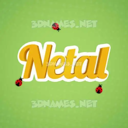 netal in Ladybugs style - 3D name wallpaper