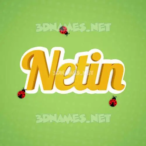netin in Ladybugs style - 3D name wallpaper netin in Ladybugs style - 3D name wallpaper
