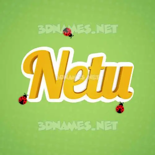 netu in Ladybugs style - 3D name wallpaper