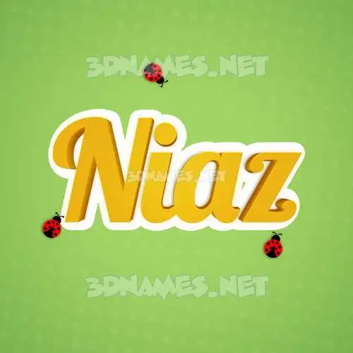 niaz in Ladybugs style - 3D name wallpaper niaz in Ladybugs style - 3D name wallpaper