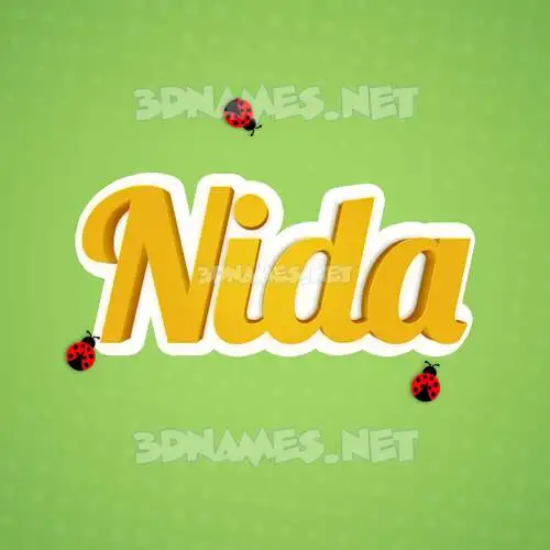 nida in Ladybugs style - 3D name wallpaper