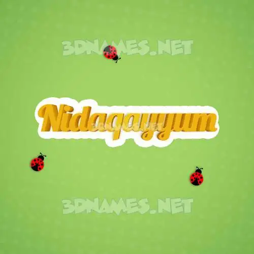nidaqayyum in Ladybugs style - 3D name wallpaper nidaqayyum in Ladybugs style - 3D name wallpaper