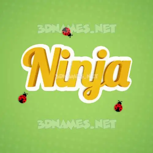 ninja in Ladybugs style - 3D name wallpaper