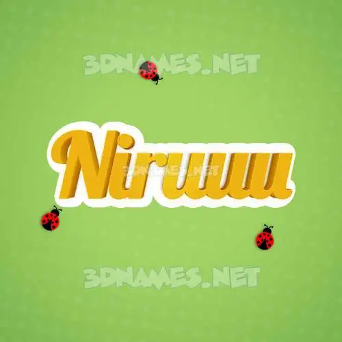 niruuu in Ladybugs style - 3D name wallpaper