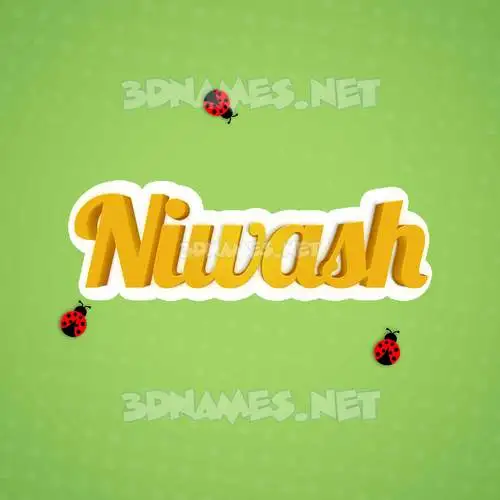 niwash in Ladybugs style - 3D name wallpaper