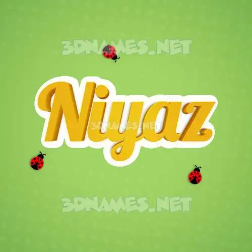 niyaz in Ladybugs style - 3D name wallpaper