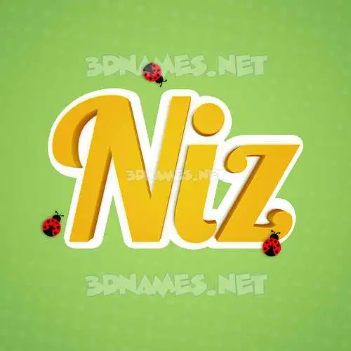 niz in Ladybugs style - 3D name wallpaper