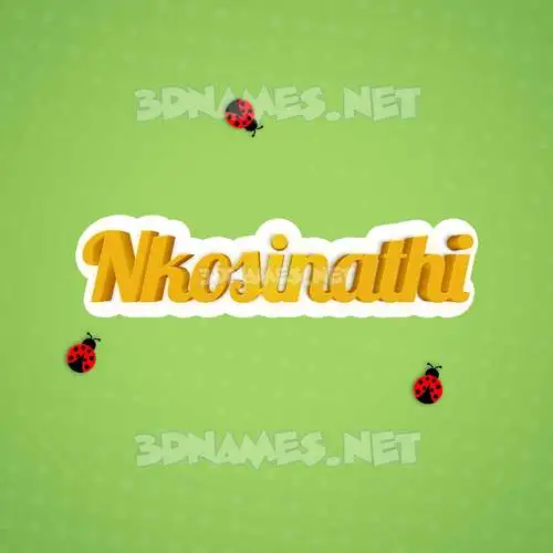 nkosinathi in Ladybugs style - 3D name wallpaper