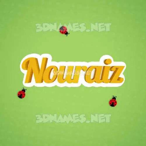 nouraiz in Ladybugs style - 3D name wallpaper
