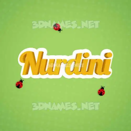 nurdini in Ladybugs style - 3D name wallpaper