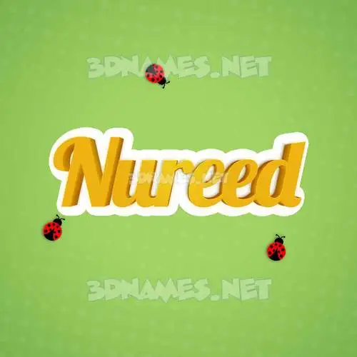 nureed in Ladybugs style - 3D name wallpaper nureed in Ladybugs style - 3D name wallpaper