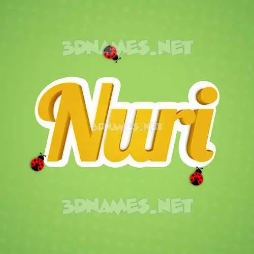 nuri in Ladybugs style - 3D name wallpaper