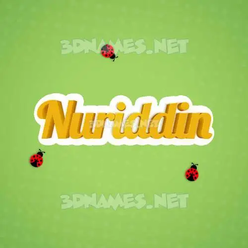 nuriddin in Ladybugs style - 3D name wallpaper nuriddin in Ladybugs style - 3D name wallpaper