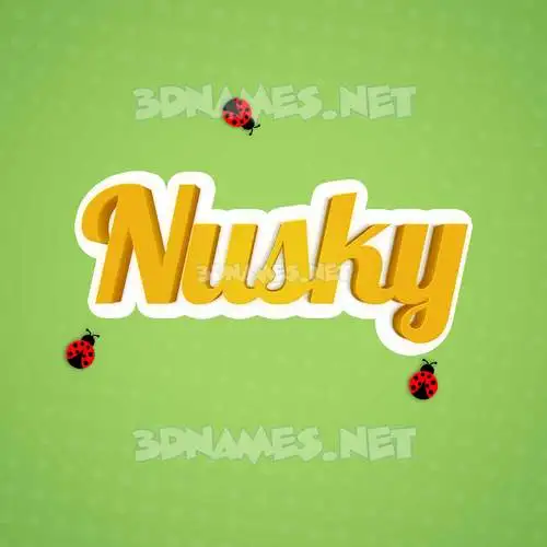 nusky in Ladybugs style - 3D name wallpaper
