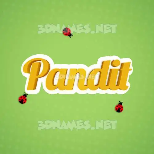 pandit in Ladybugs style - 3D name wallpaper pandit in Ladybugs style - 3D name wallpaper