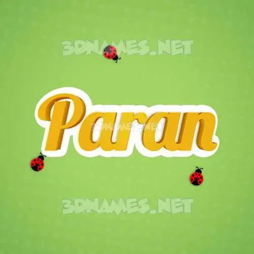 paran in Ladybugs style - 3D name wallpaper