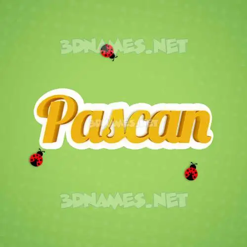 pascan in Ladybugs style - 3D name wallpaper pascan in Ladybugs style - 3D name wallpaper