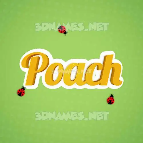 poach in Ladybugs style - 3D name wallpaper
