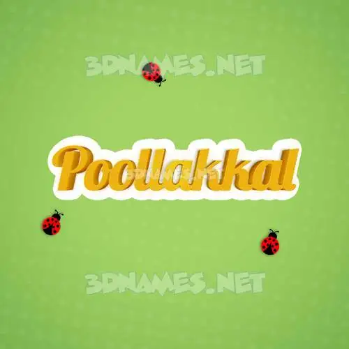 poollakkal in Ladybugs style - 3D name wallpaper