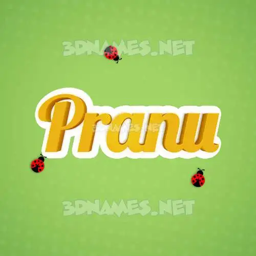 pranu in Ladybugs style - 3D name wallpaper