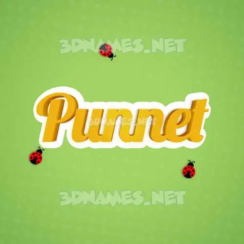 punnet in Ladybugs style - 3D name wallpaper punnet in Ladybugs style - 3D name wallpaper
