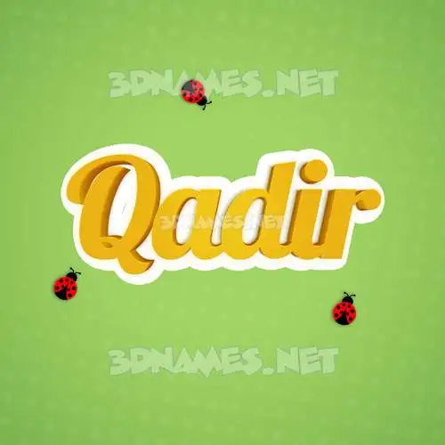 qadir in Ladybugs style - 3D name wallpaper
