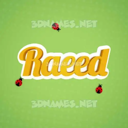 raeed in Ladybugs style - 3D name wallpaper raeed in Ladybugs style - 3D name wallpaper