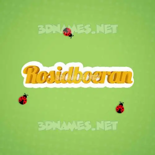 rosidboeran in Ladybugs style - 3D name wallpaper rosidboeran in Ladybugs style - 3D name wallpaper