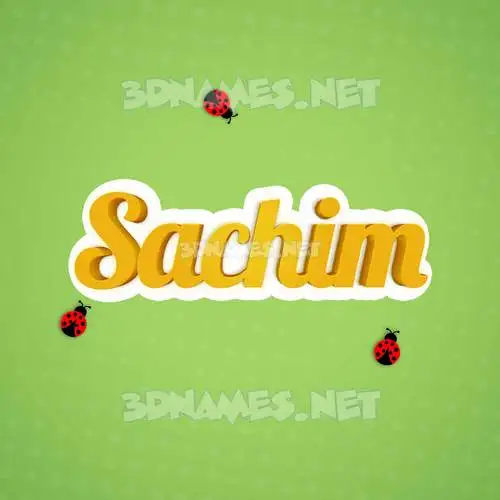 sachim in Ladybugs style - 3D name wallpaper sachim in Ladybugs style - 3D name wallpaper