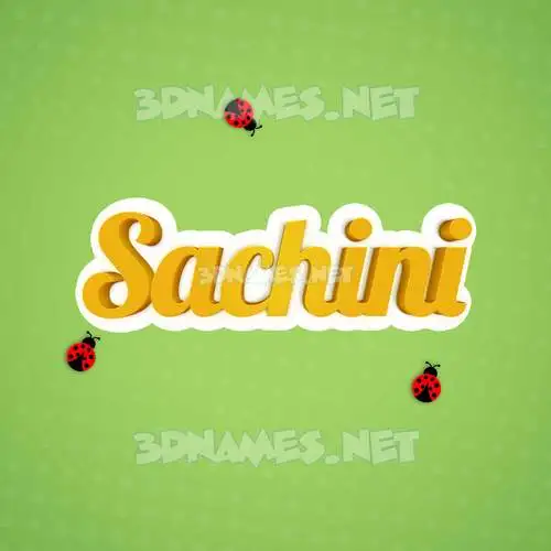 sachini in Ladybugs style - 3D name wallpaper