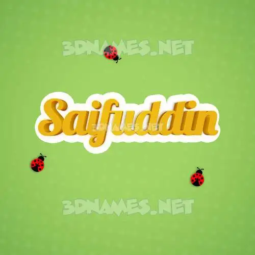 saifuddin in Ladybugs style - 3D name wallpaper