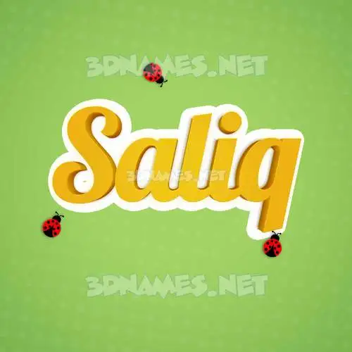 saliq in Ladybugs style - 3D name wallpaper saliq in Ladybugs style - 3D name wallpaper