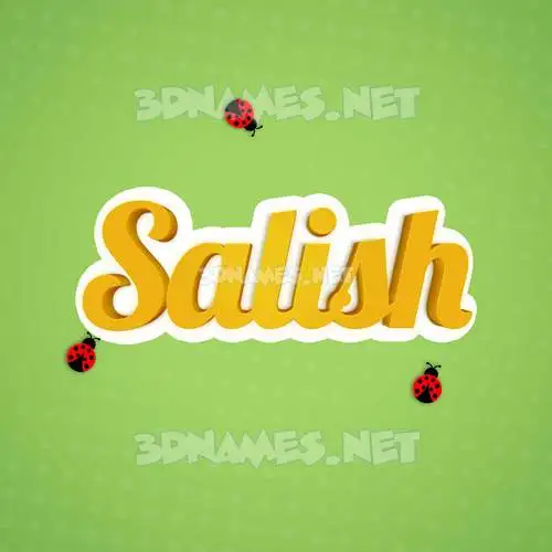 salish in Ladybugs style - 3D name wallpaper salish in Ladybugs style - 3D name wallpaper